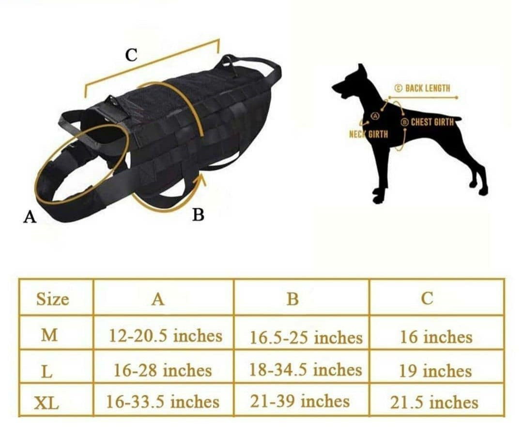 Pechera Táctica Básica