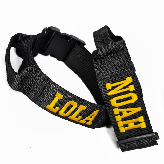 Collar Tactical Lite